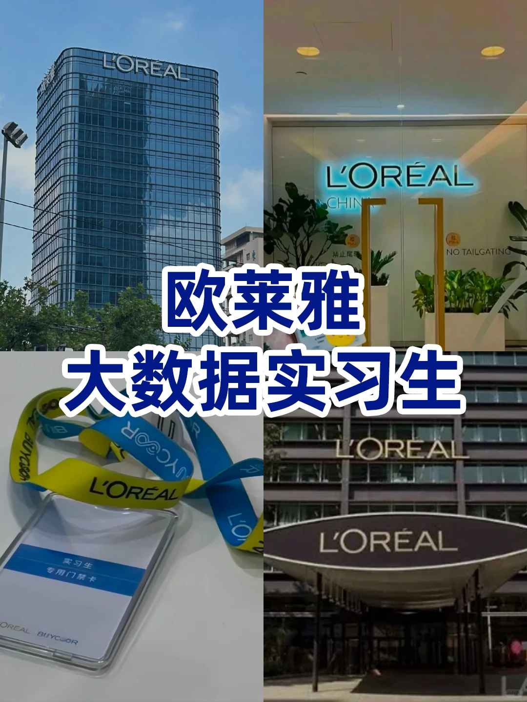 欧莱雅的大数据分析实习生有人来吗?