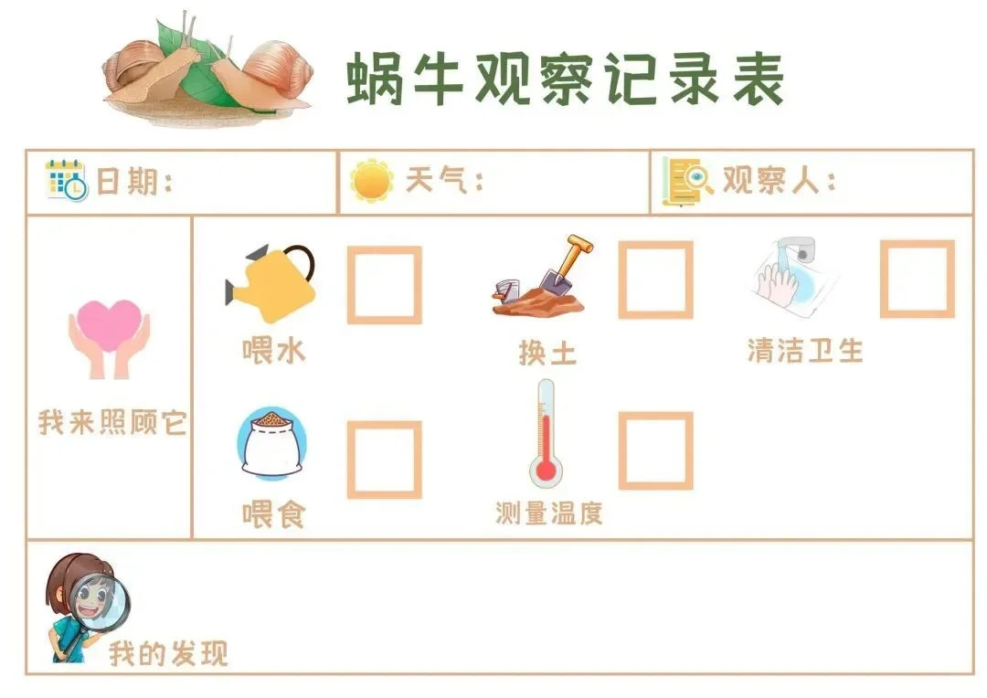 植物角观察记录