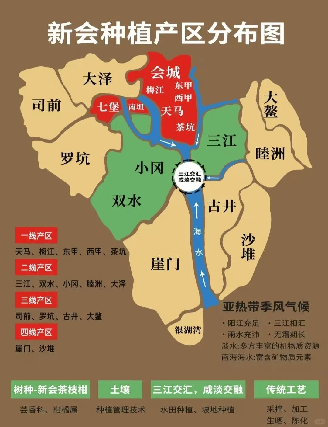 ?陈皮市场规范：什么是新会陈皮？