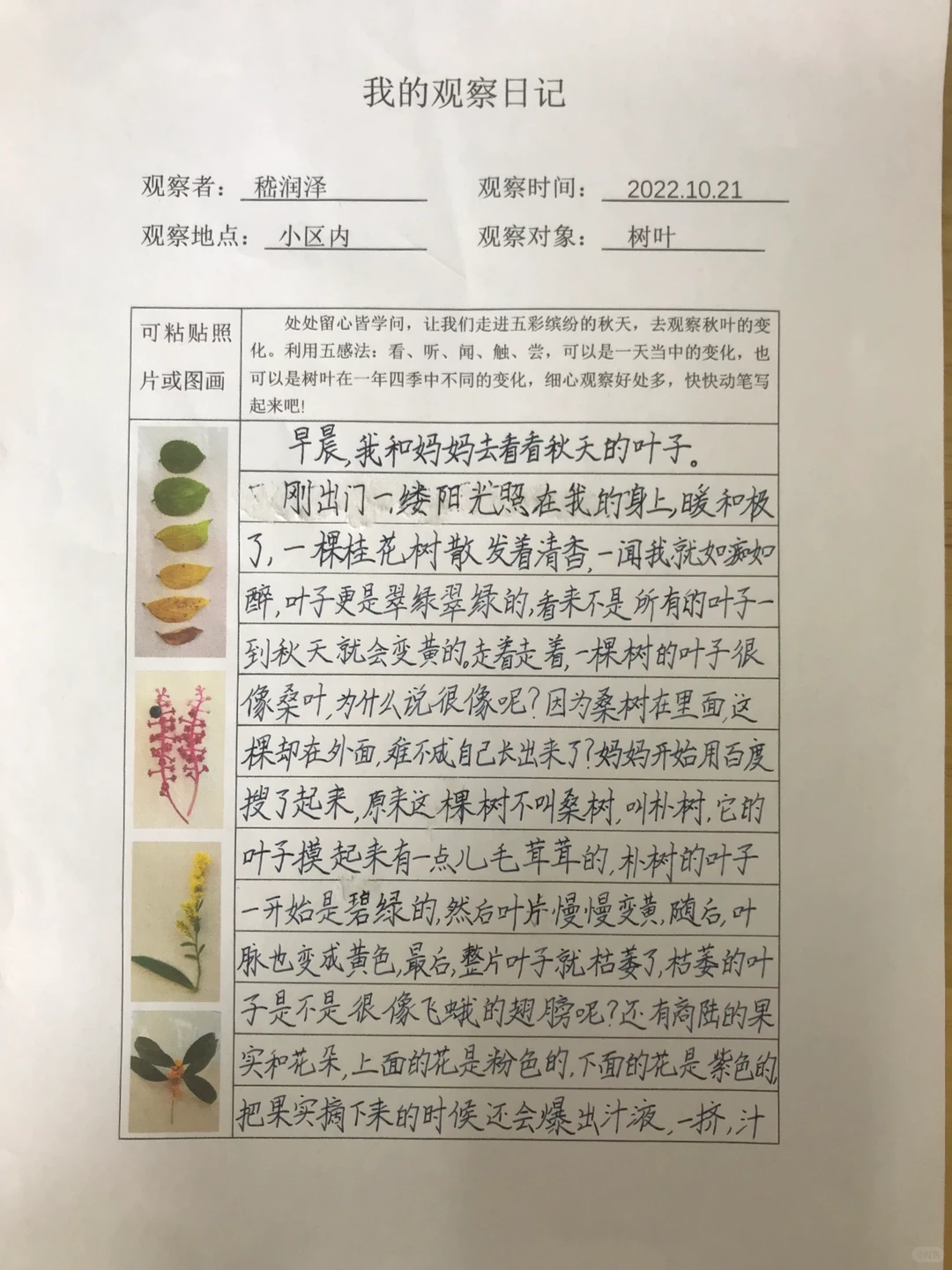 三上《观察记录表》