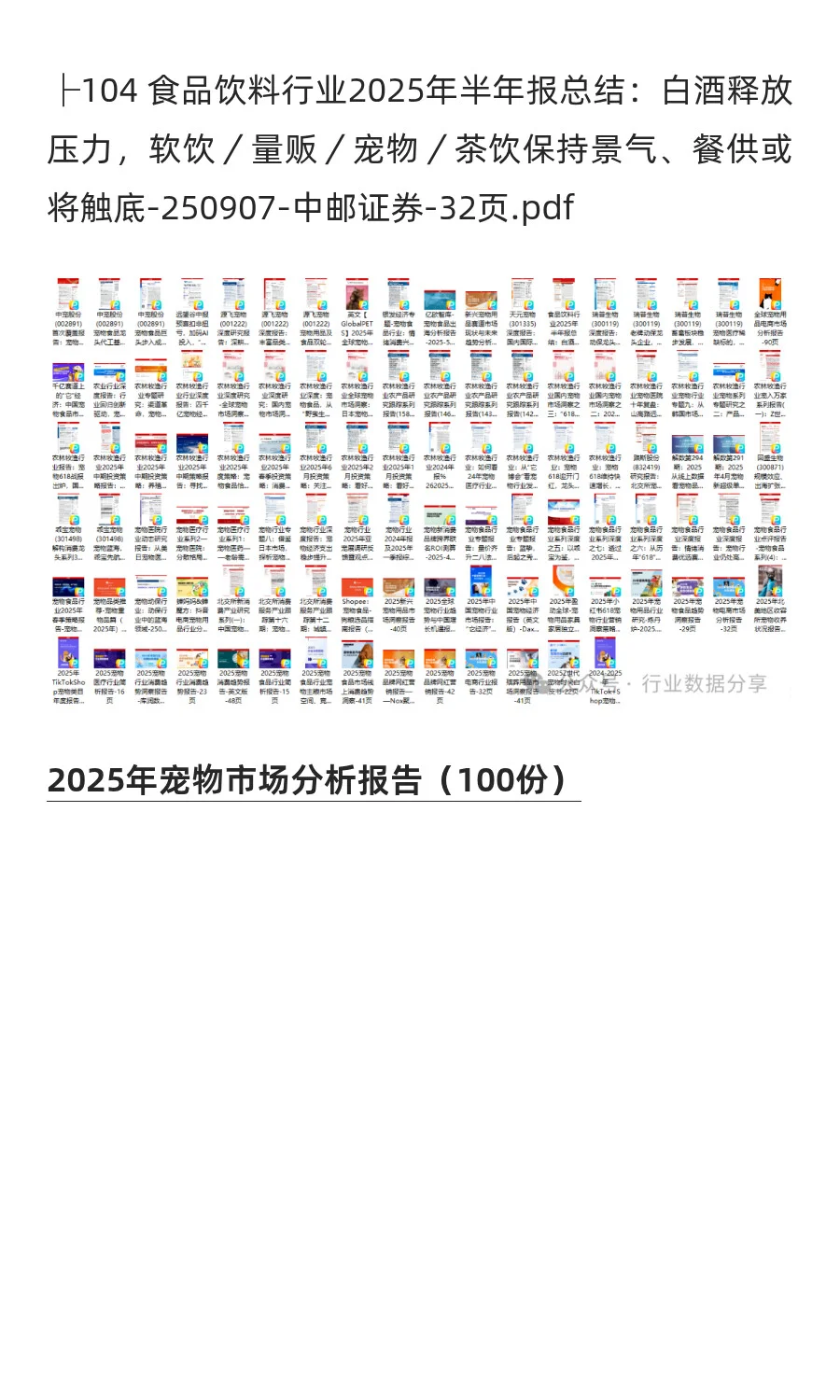 2025年宠物市场分析报告(100份)