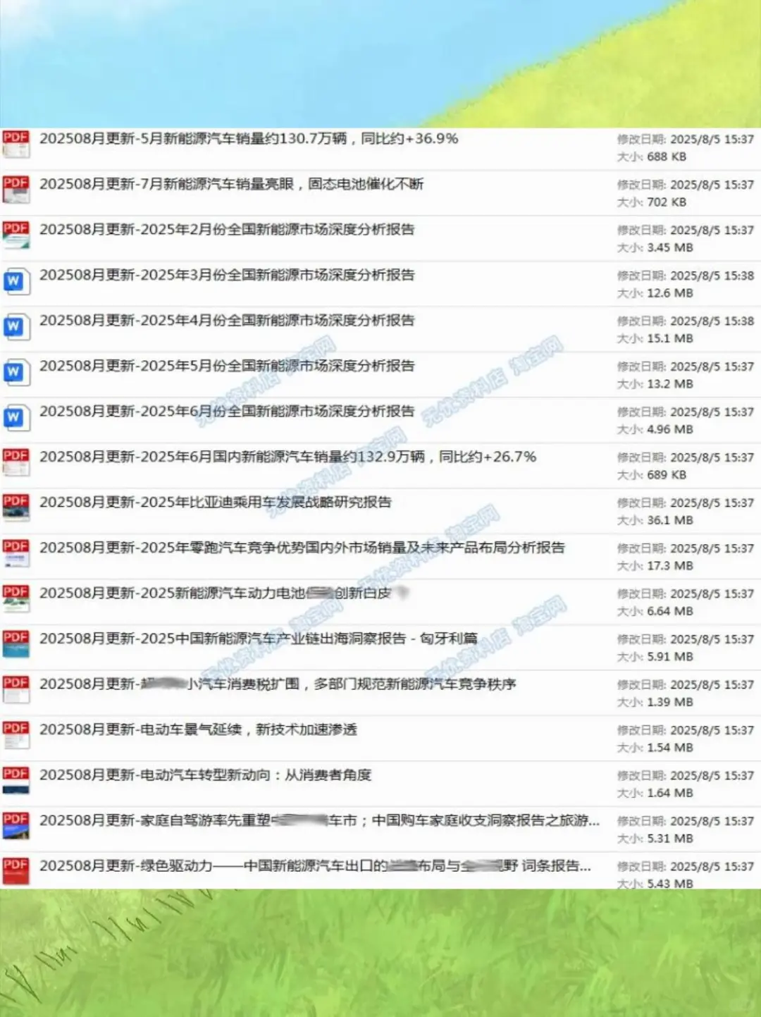 ?2025新能源车报告来啦！