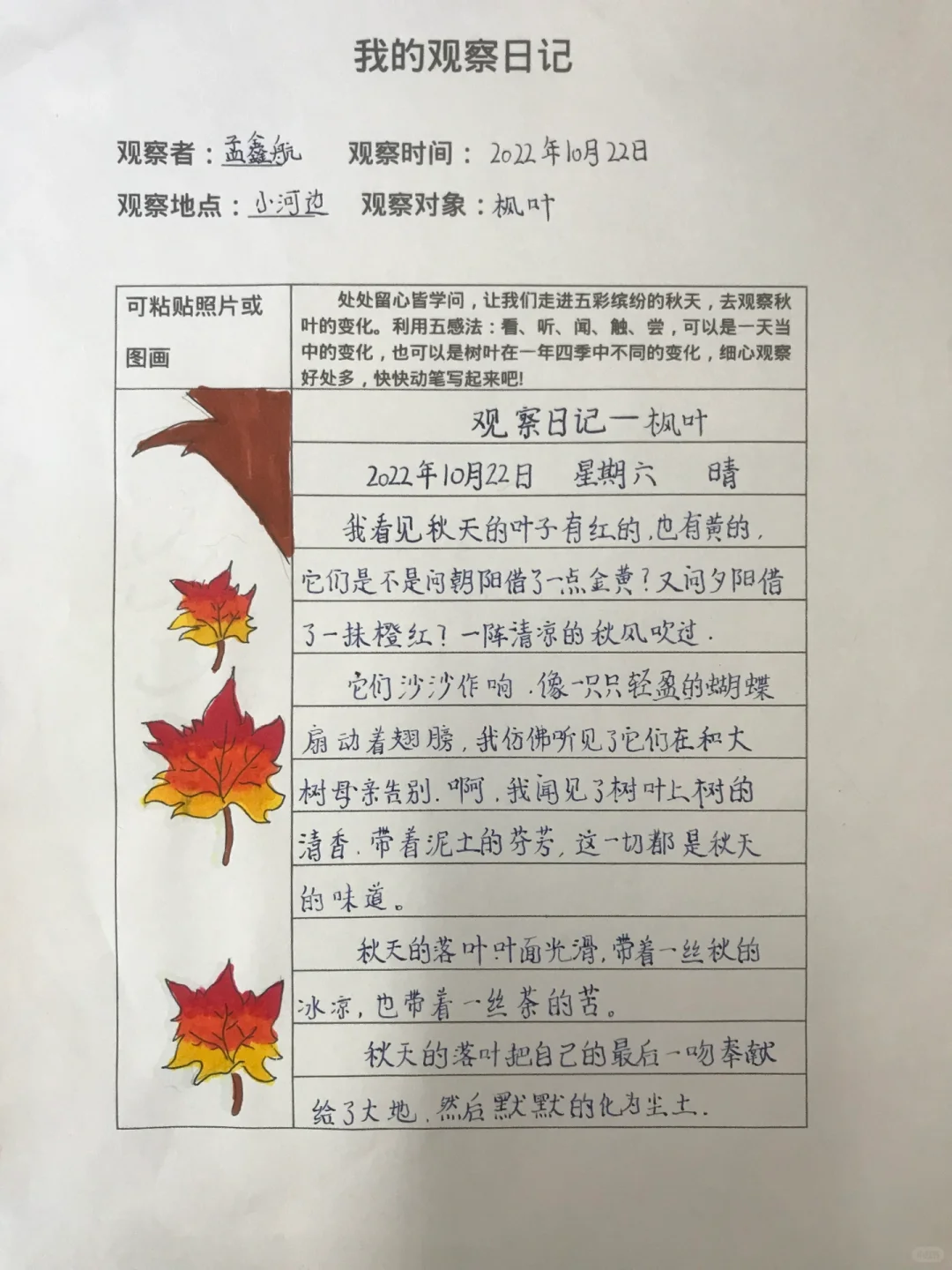 三上《观察记录表》