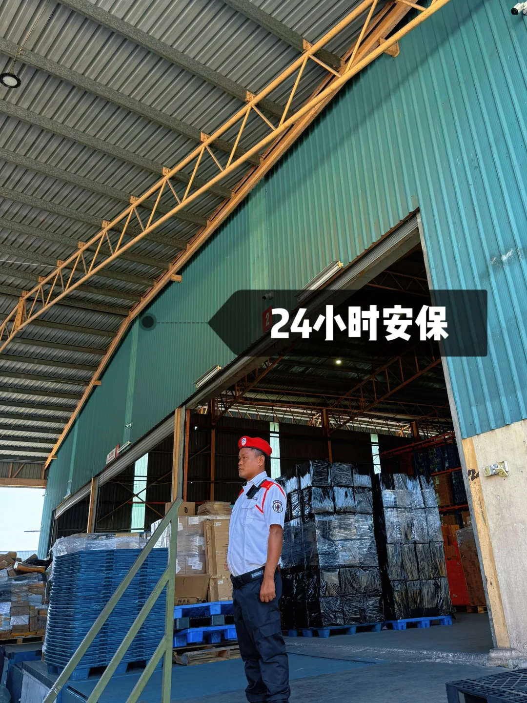 ?下一个宠物经济蓝海在东南亚!
