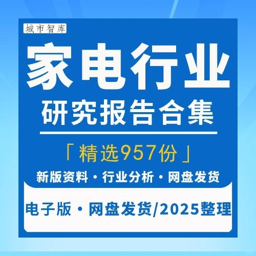 2025家电小家电市场研究报告电商白电