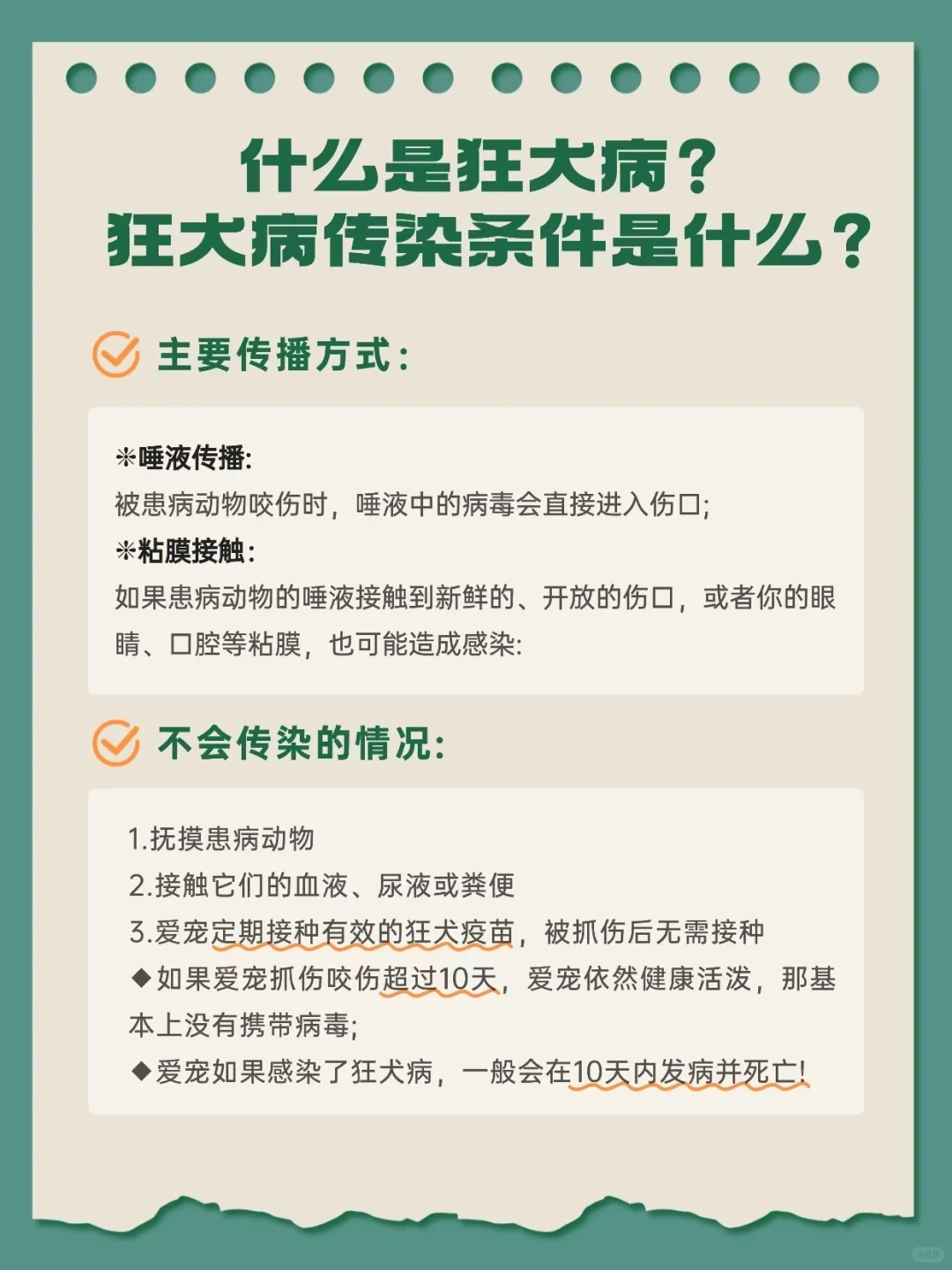警惕⚠️狂犬病反弹,注意这些很重要
