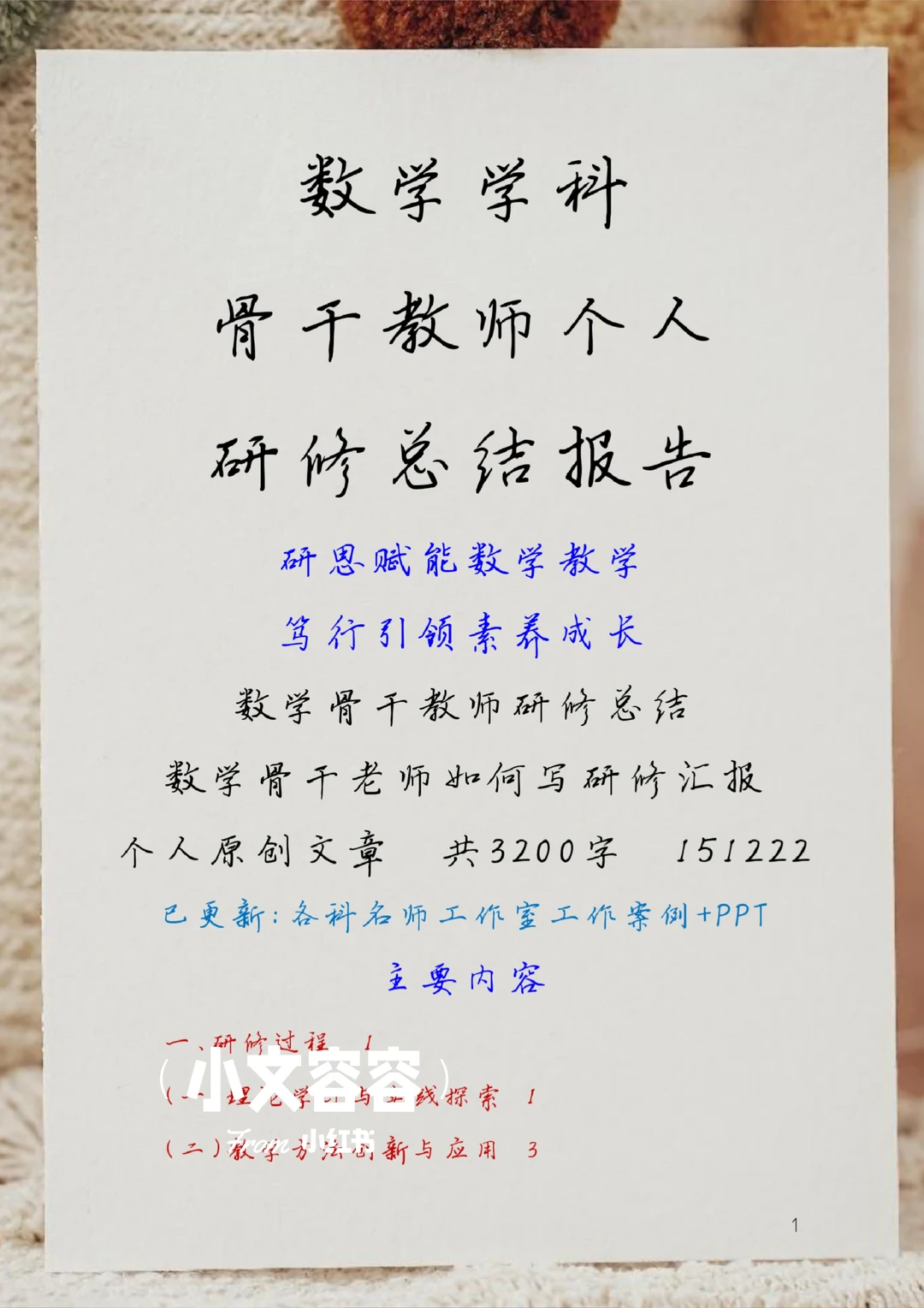 数学学科骨干教师个人研修总结报告