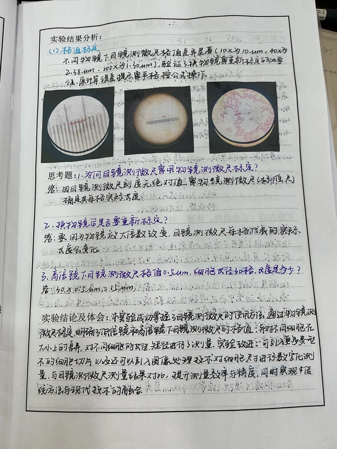 细胞显微结构观察及大小测量
