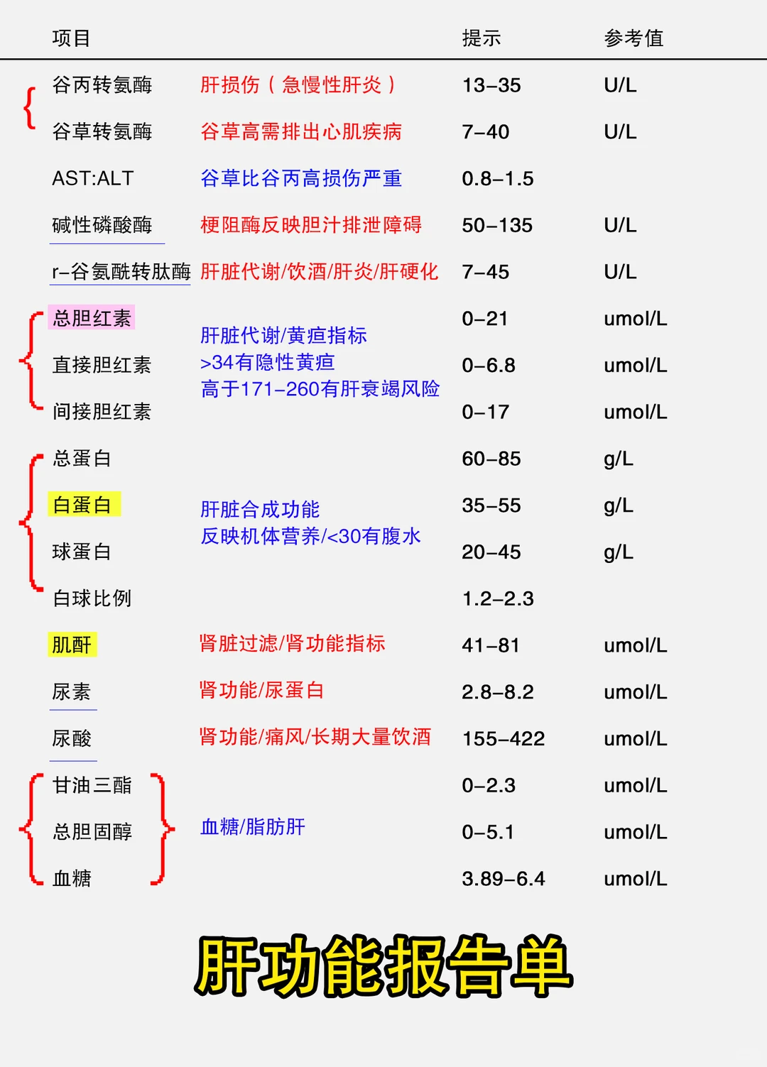 肝功能报告单详解,3分钟教你看懂!