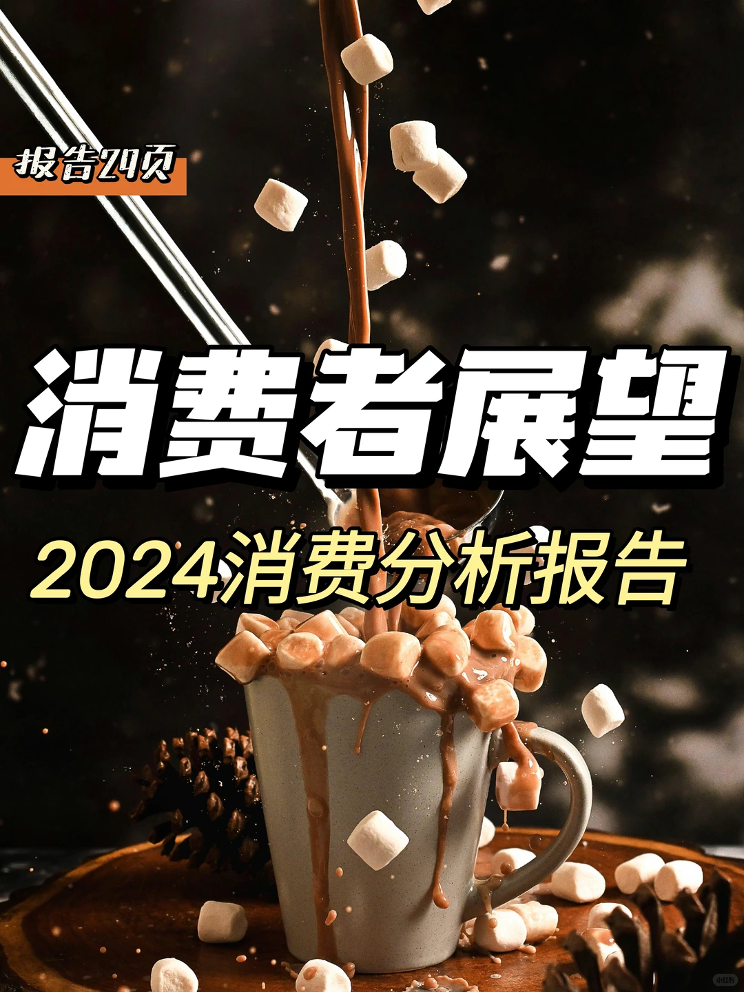 每日分享行业报告：2024消费者调研报告
