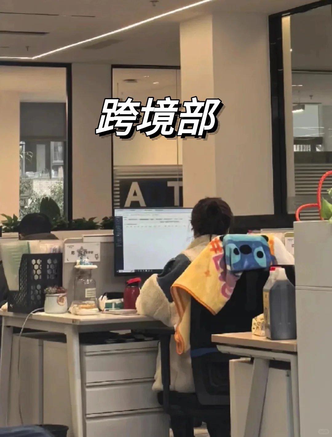 公司新来的跨境运营女生,真的是效率天花板