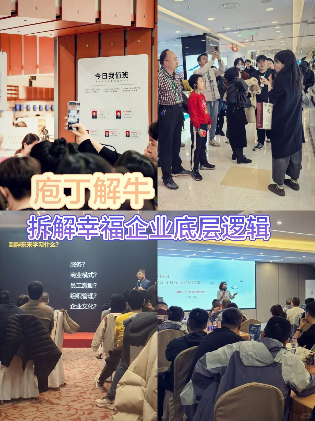 胖东来你要怎么学才能学会