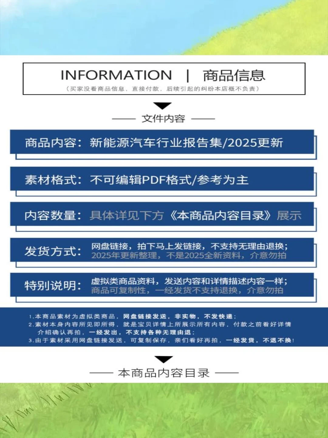 ?2025新能源车报告来啦！