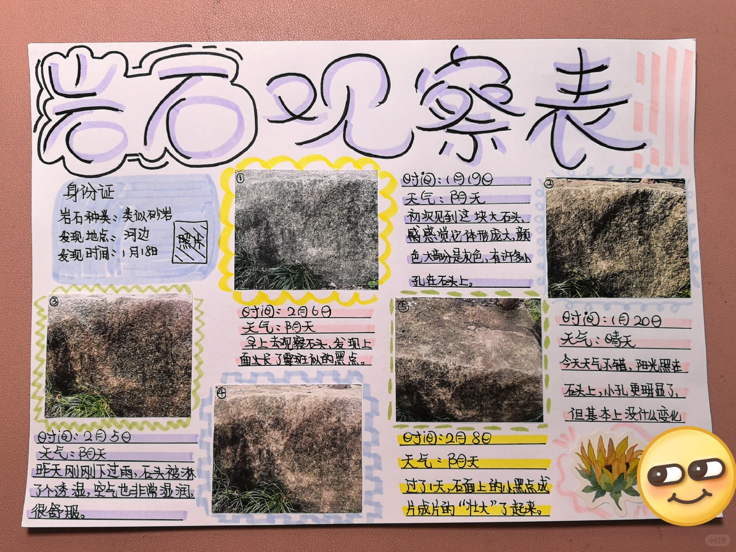 寒假科学作业岩石观察记录表