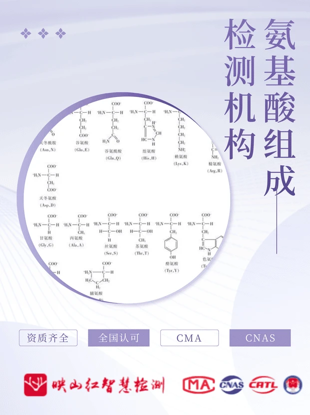 氨基酸组成检测报告，氨基酸组成检测机构
