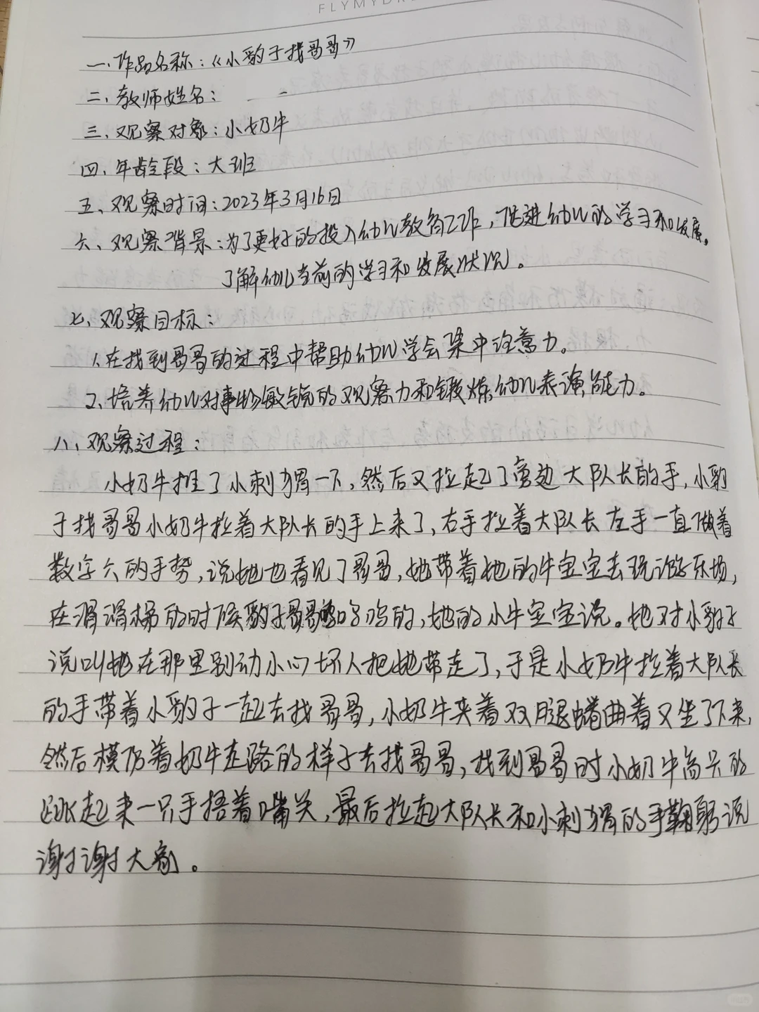 大班 观察记录