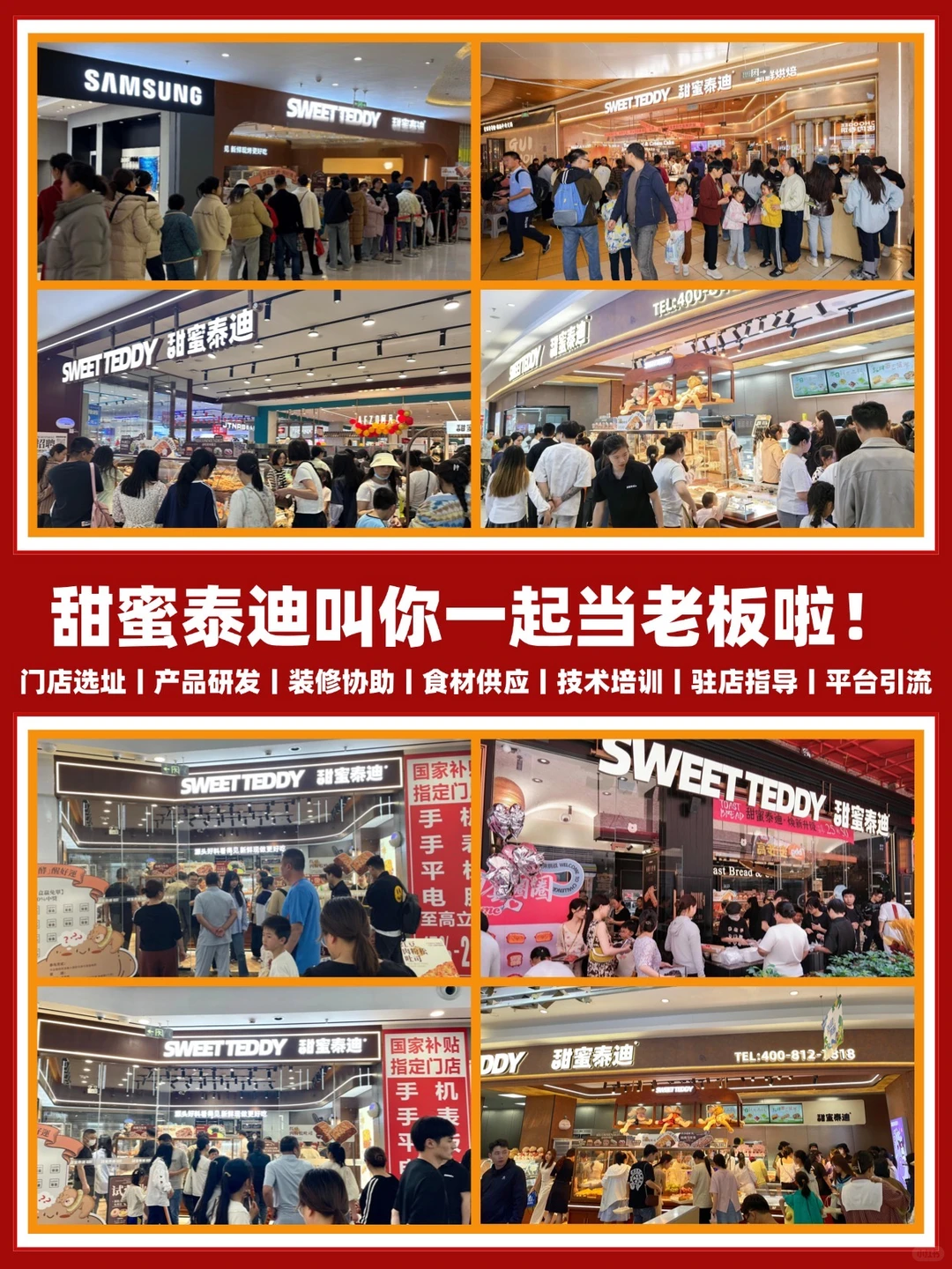 甜蜜泰迪邀请你-60平小店月入50W!