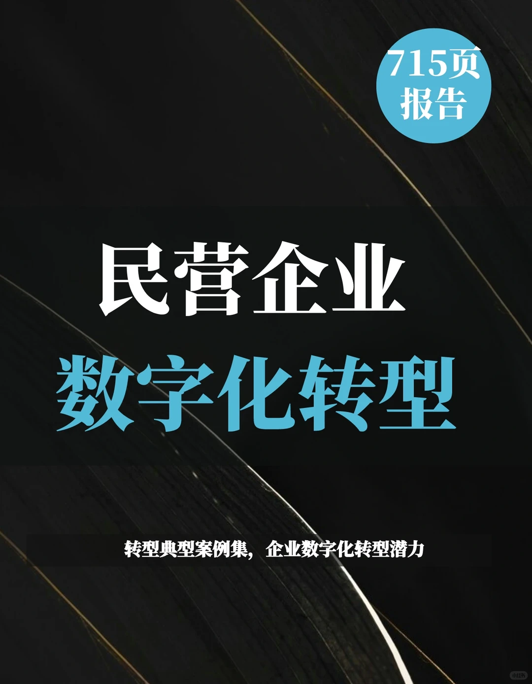 一文知晓：民营企业数字化转型典型案例集