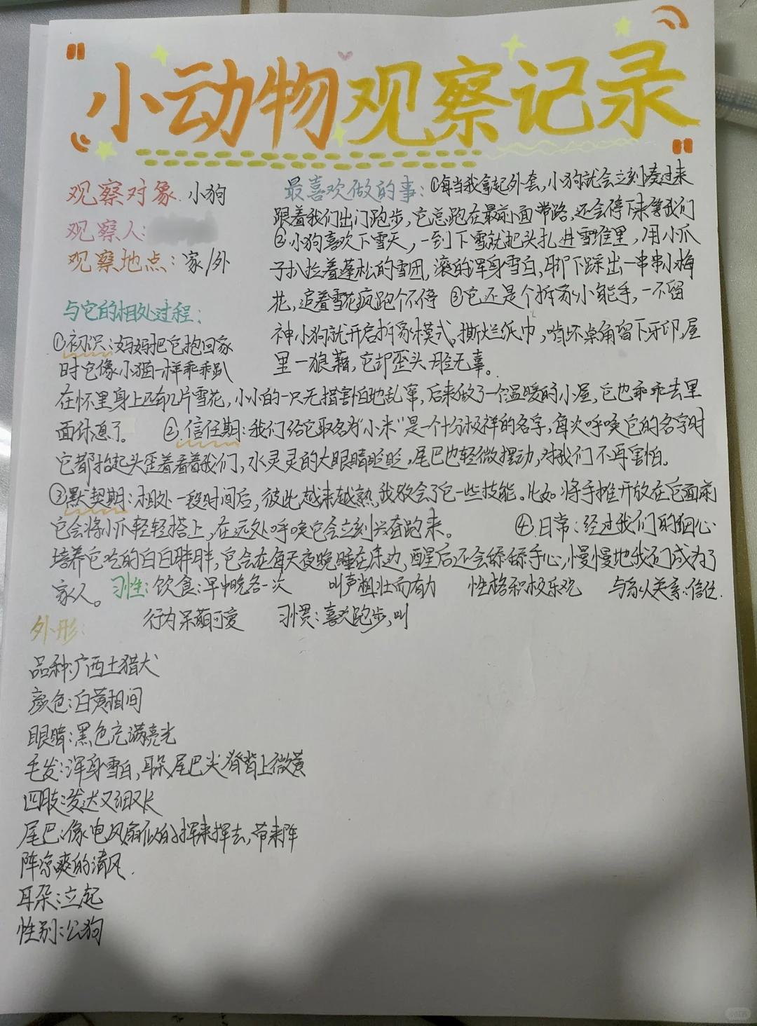 小动物观察记录