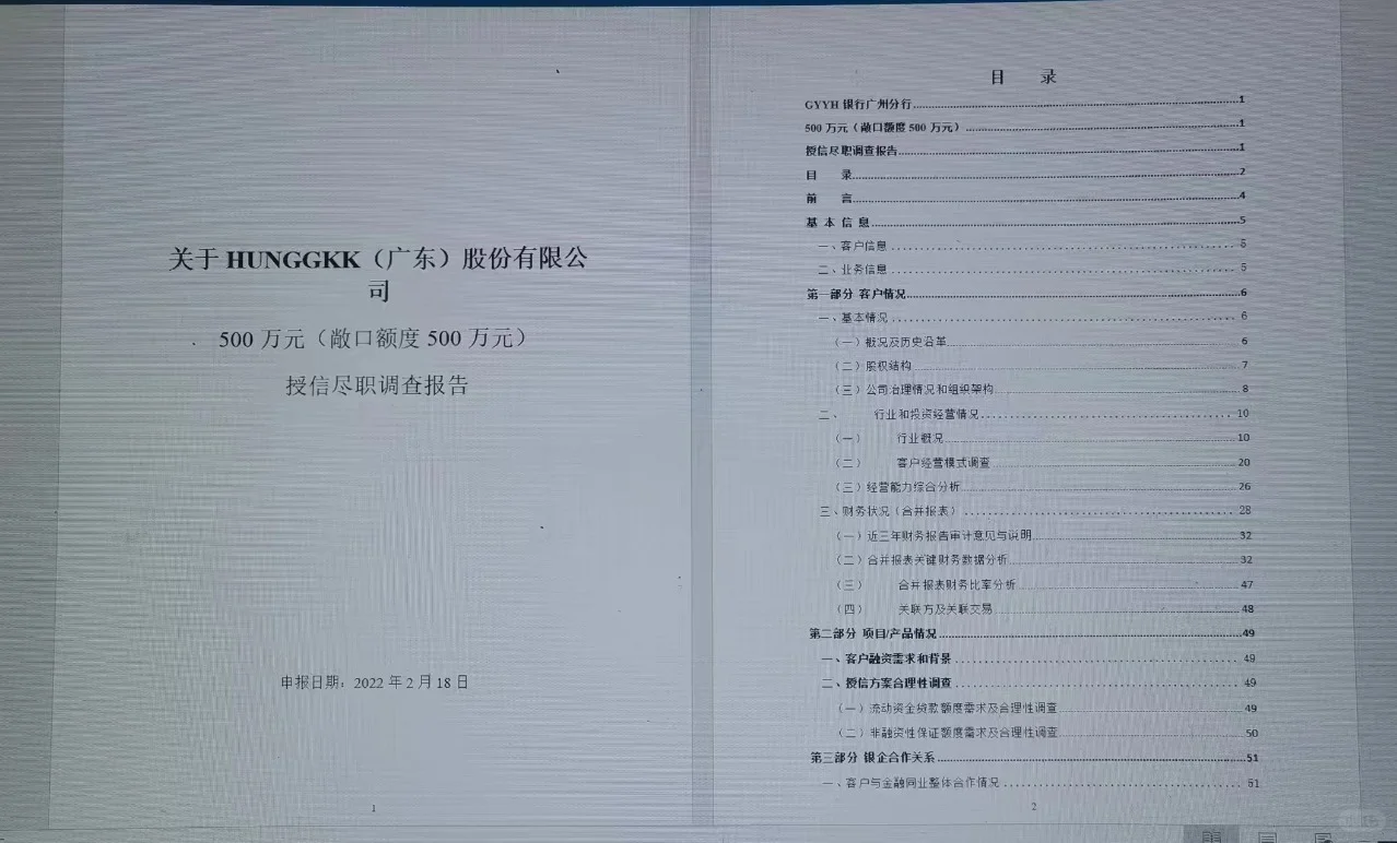 银行授信调查报告完整版（一）