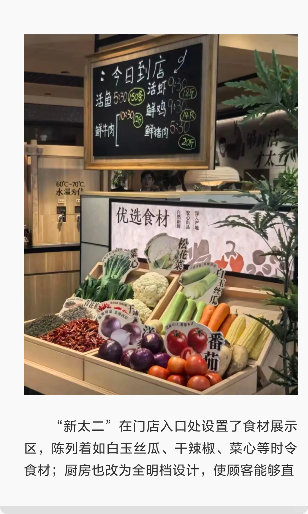 太二“告别”酸菜鱼,改名“鲜料川菜馆”!