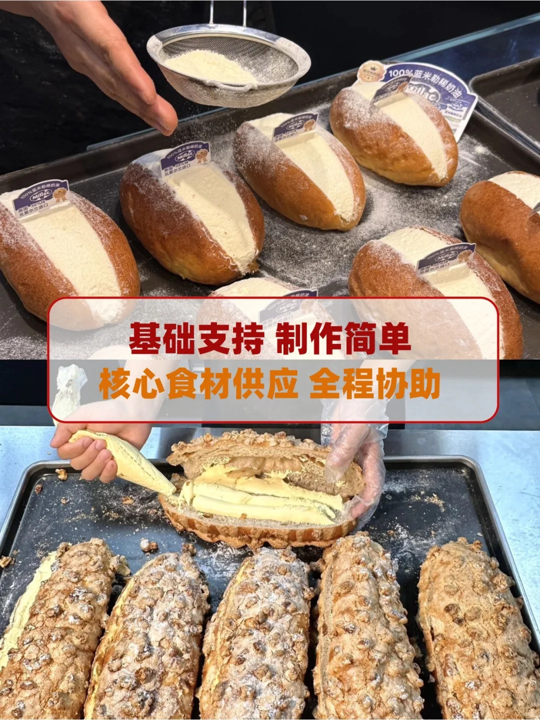 甜蜜泰迪邀请你-60平小店月入50W!