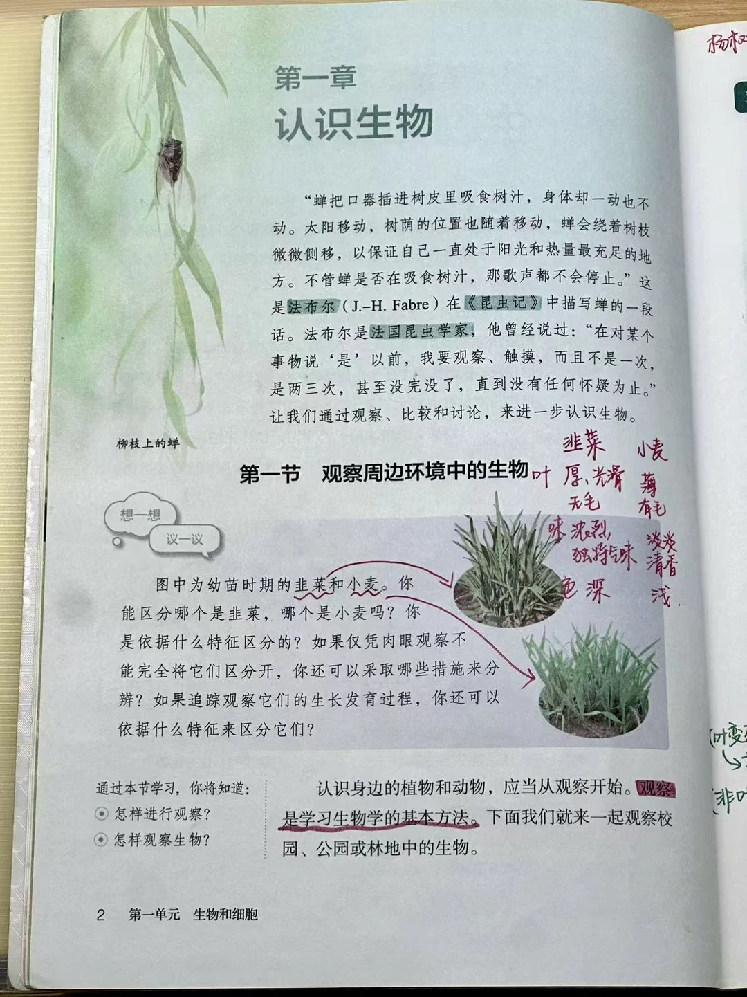 25新七上生物备课笔记｜教案 第二节 观察