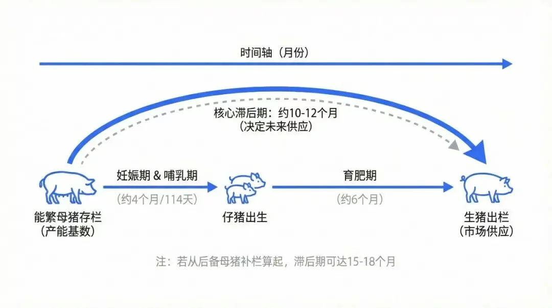 脆皮分析师用好AI有多重要？