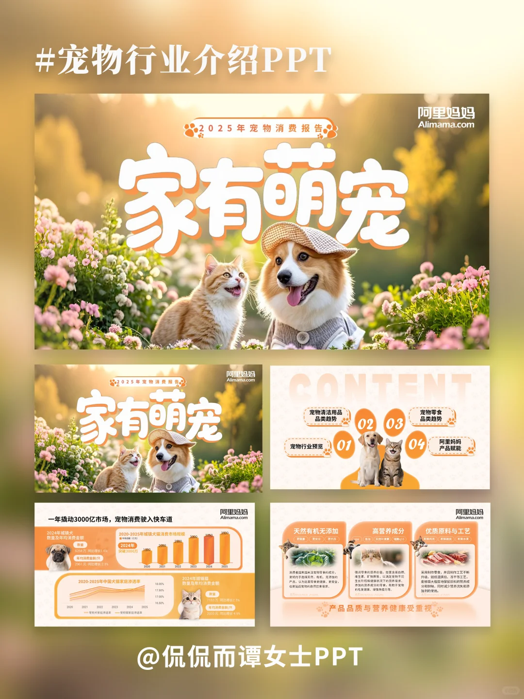PPT改稿 | 宠物行业PPT