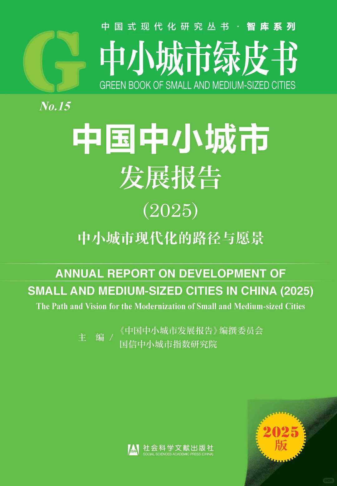 中国中小城市发展报告(2025)