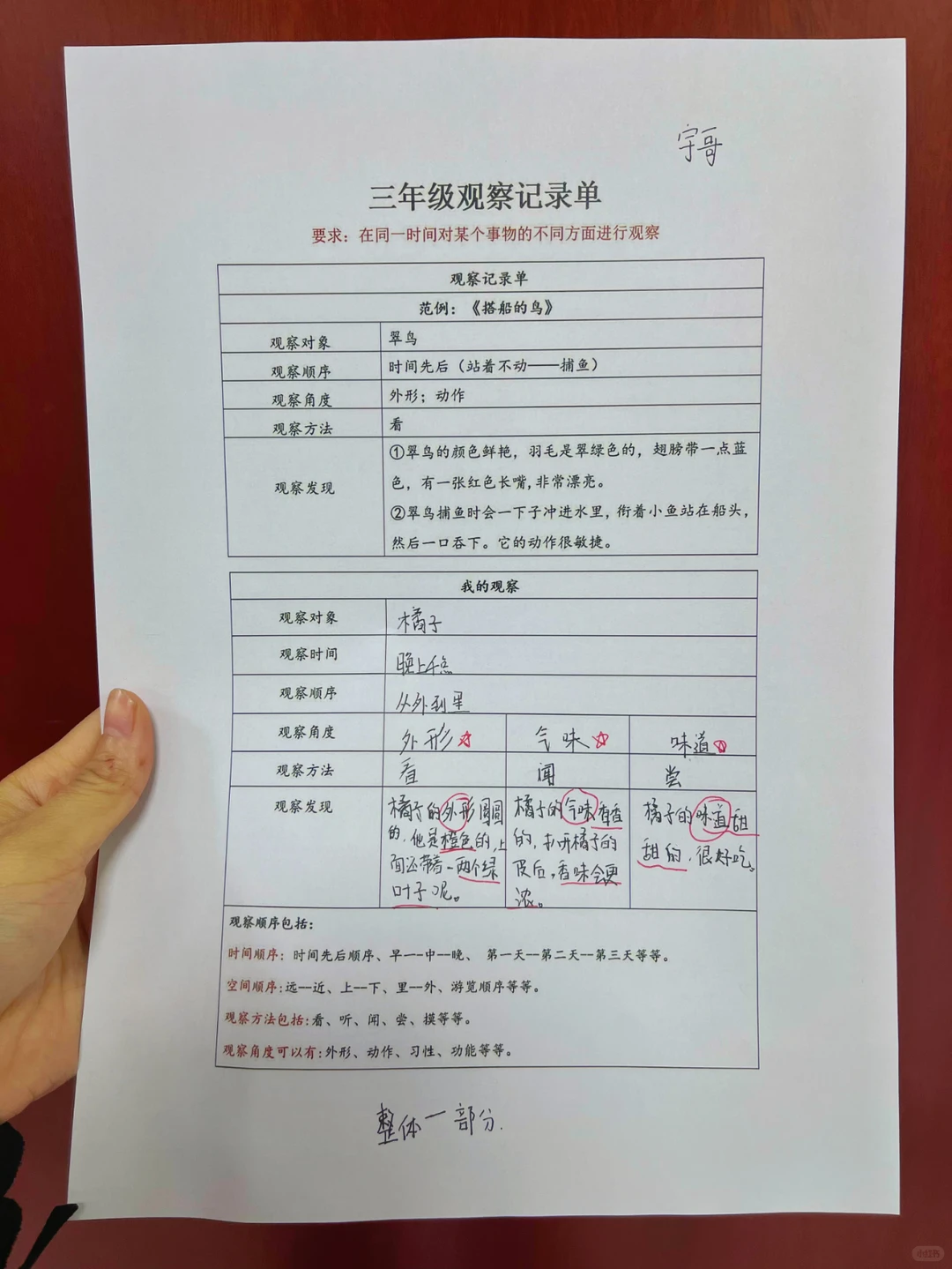 三上五单元 观察记录单（附空白表格