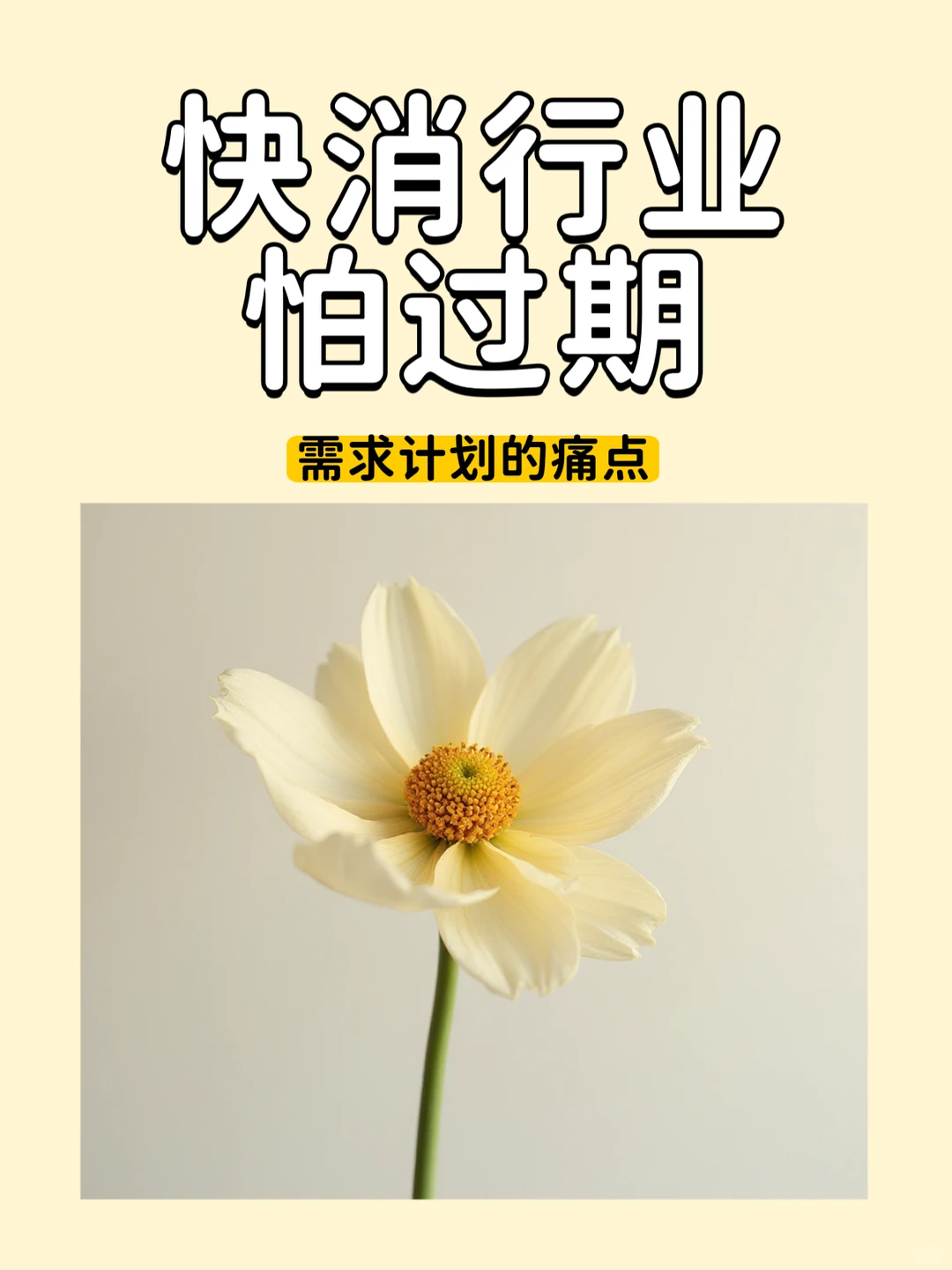 快消行业怕过期？需求计划的痛点