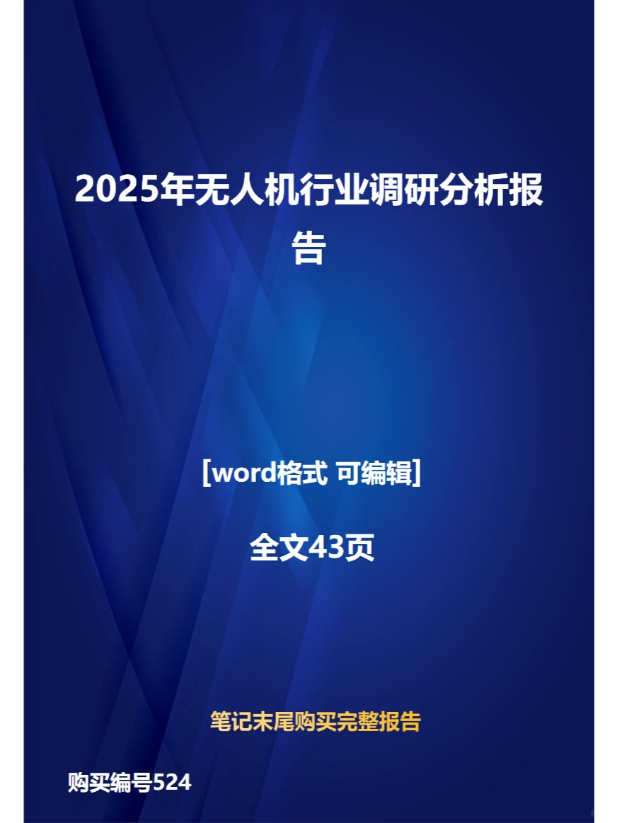 2025年无人机行业调研分析报告
