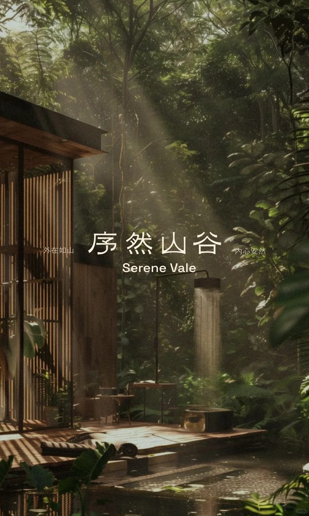 康养品牌全案拆解|新银发享老的生活提案
