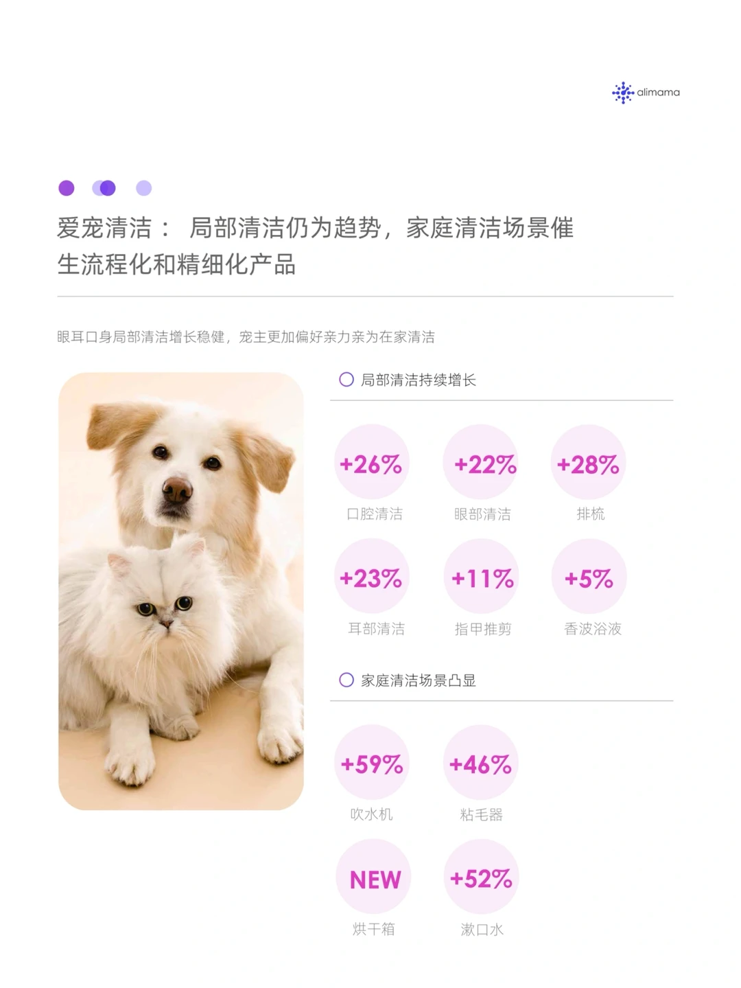 6篇报告|我读懂了宠物行业