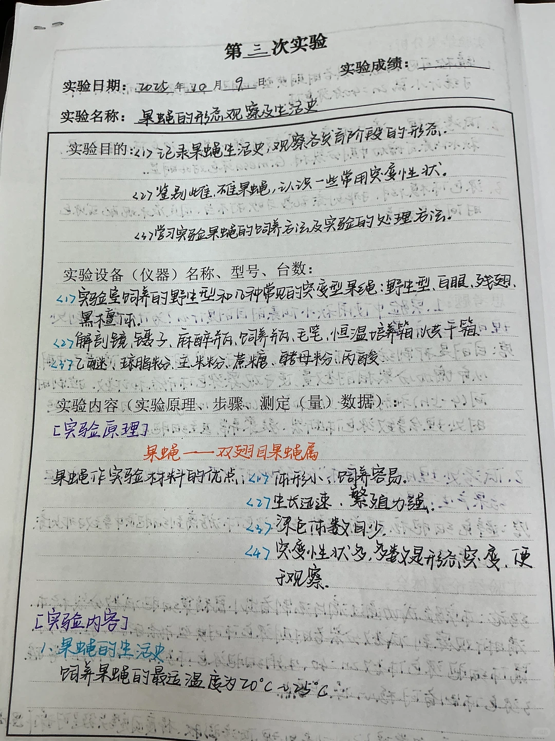 果蝇的形态观察及生活史