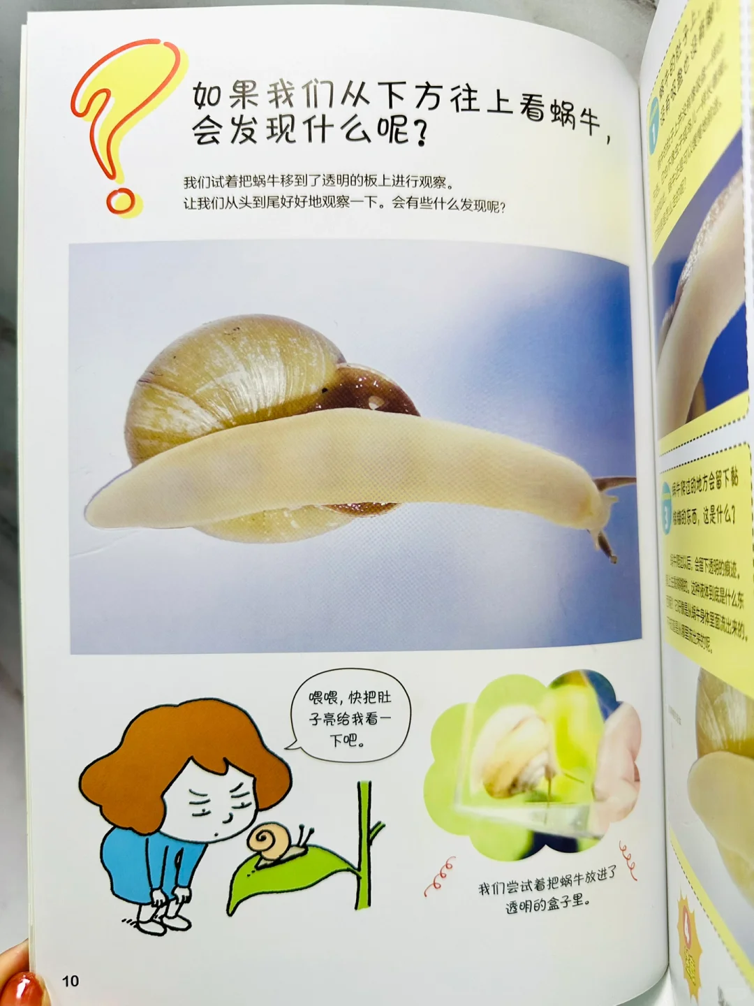 离大谱?纸杯里的科学思维启蒙❗️吉竹伸介