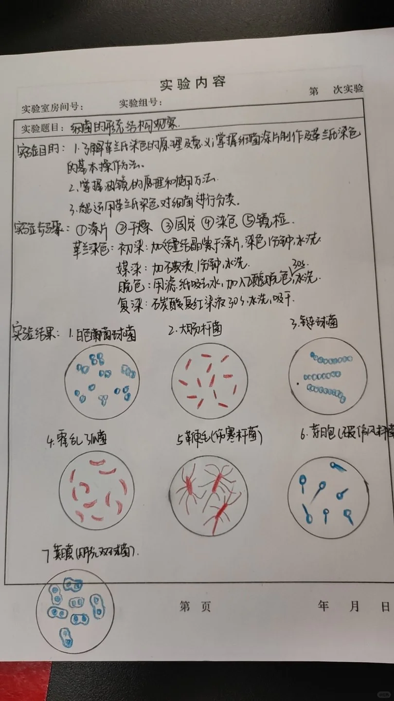 细菌的形态结构观察实验报告