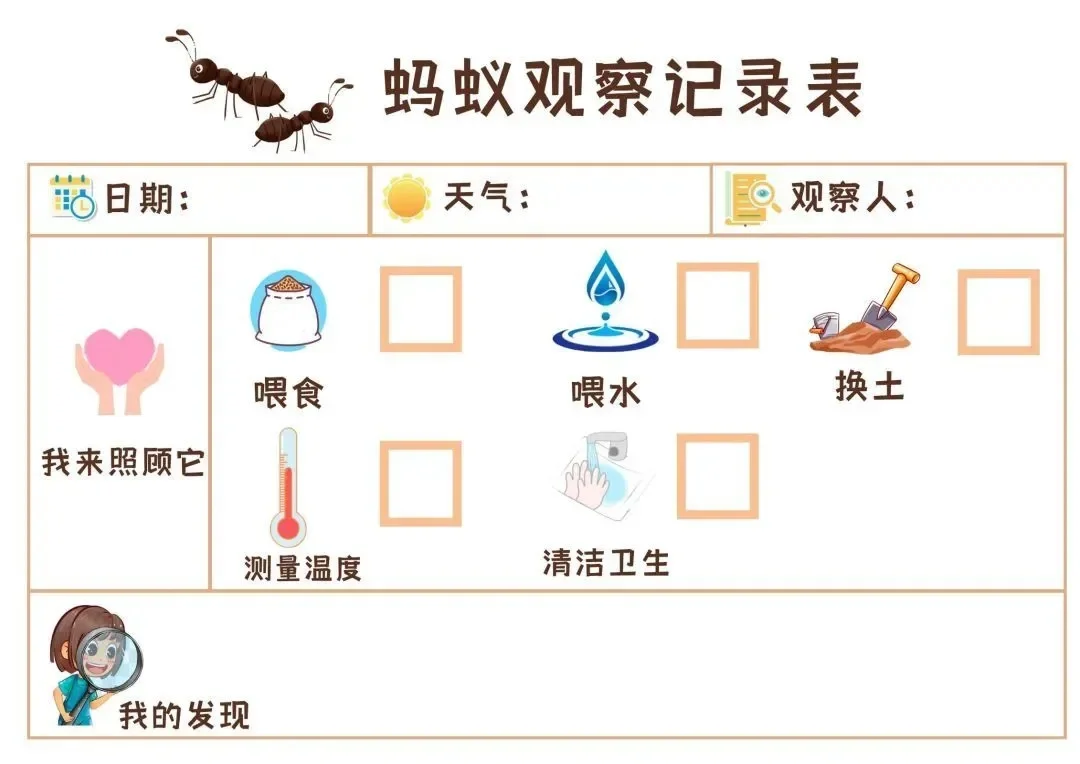 植物角观察记录