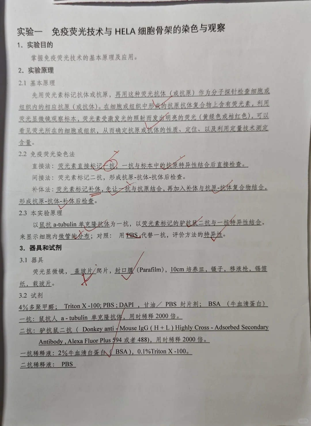 免疫荧光技术与HELA细胞骨架的染色与观察