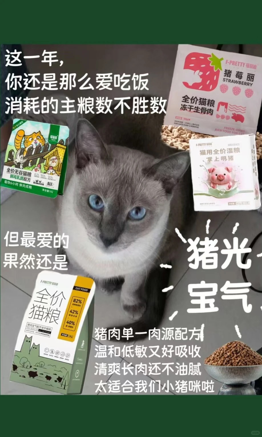 2025小结||福佩迪猫猫经理们的年度报告