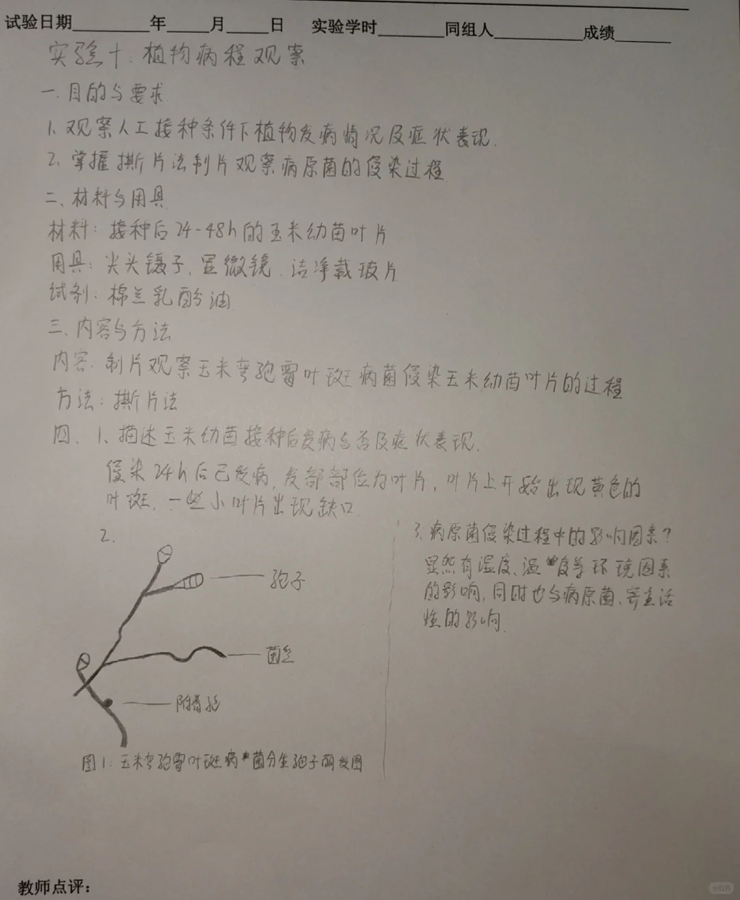 植物病程观察