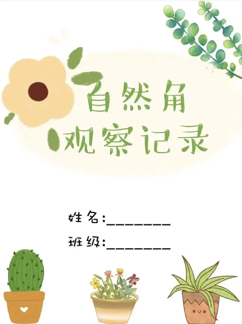 植物角观察记录