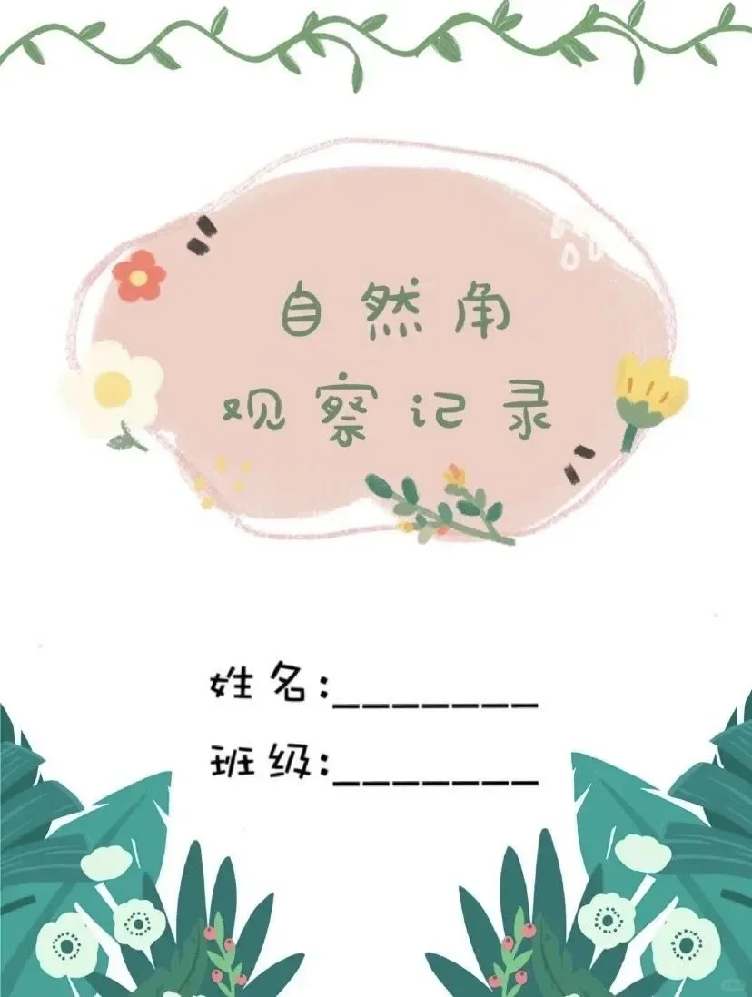 植物角观察记录