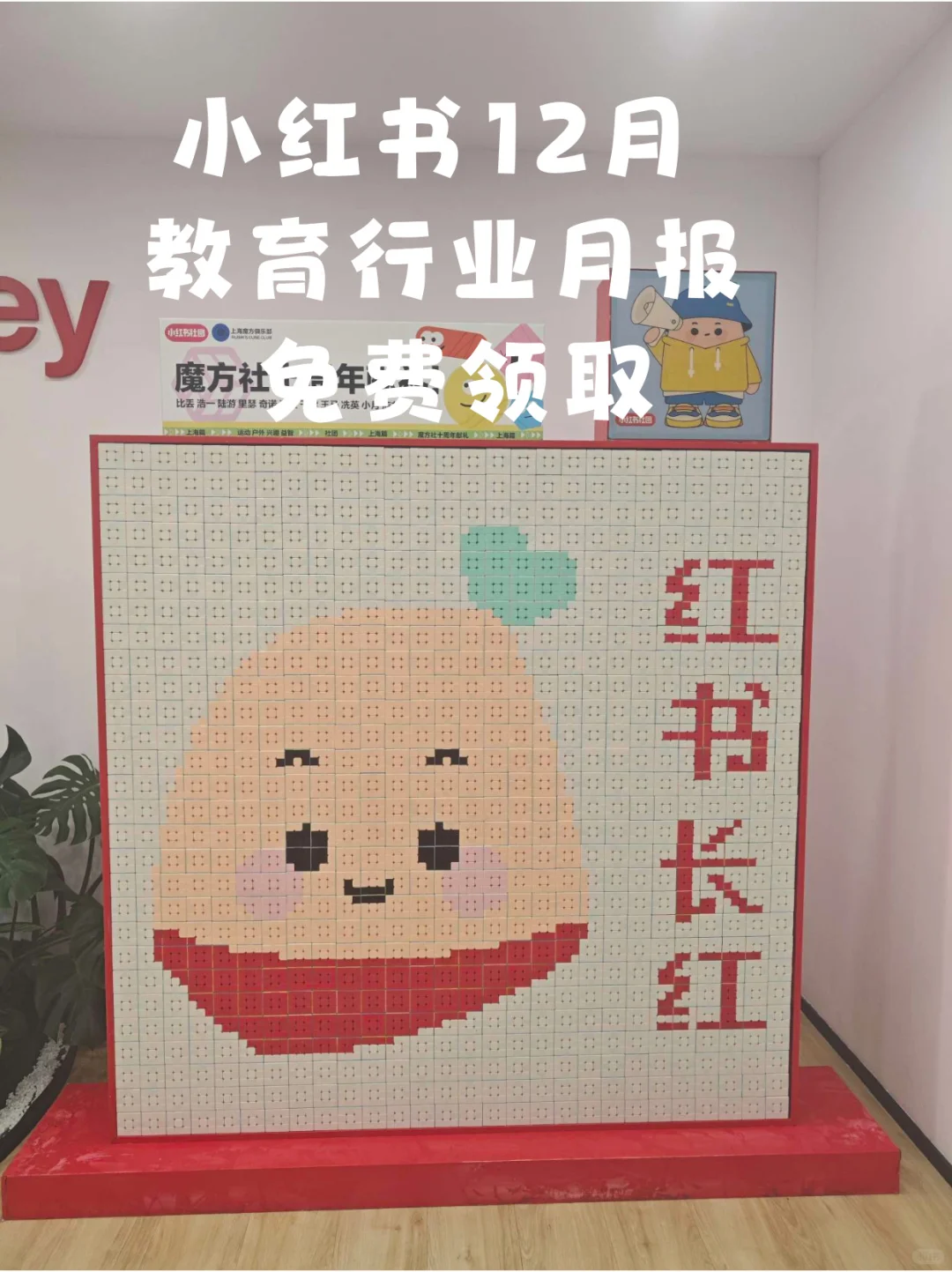 小红书12月教育行业月报免费领取附笔记拆解
