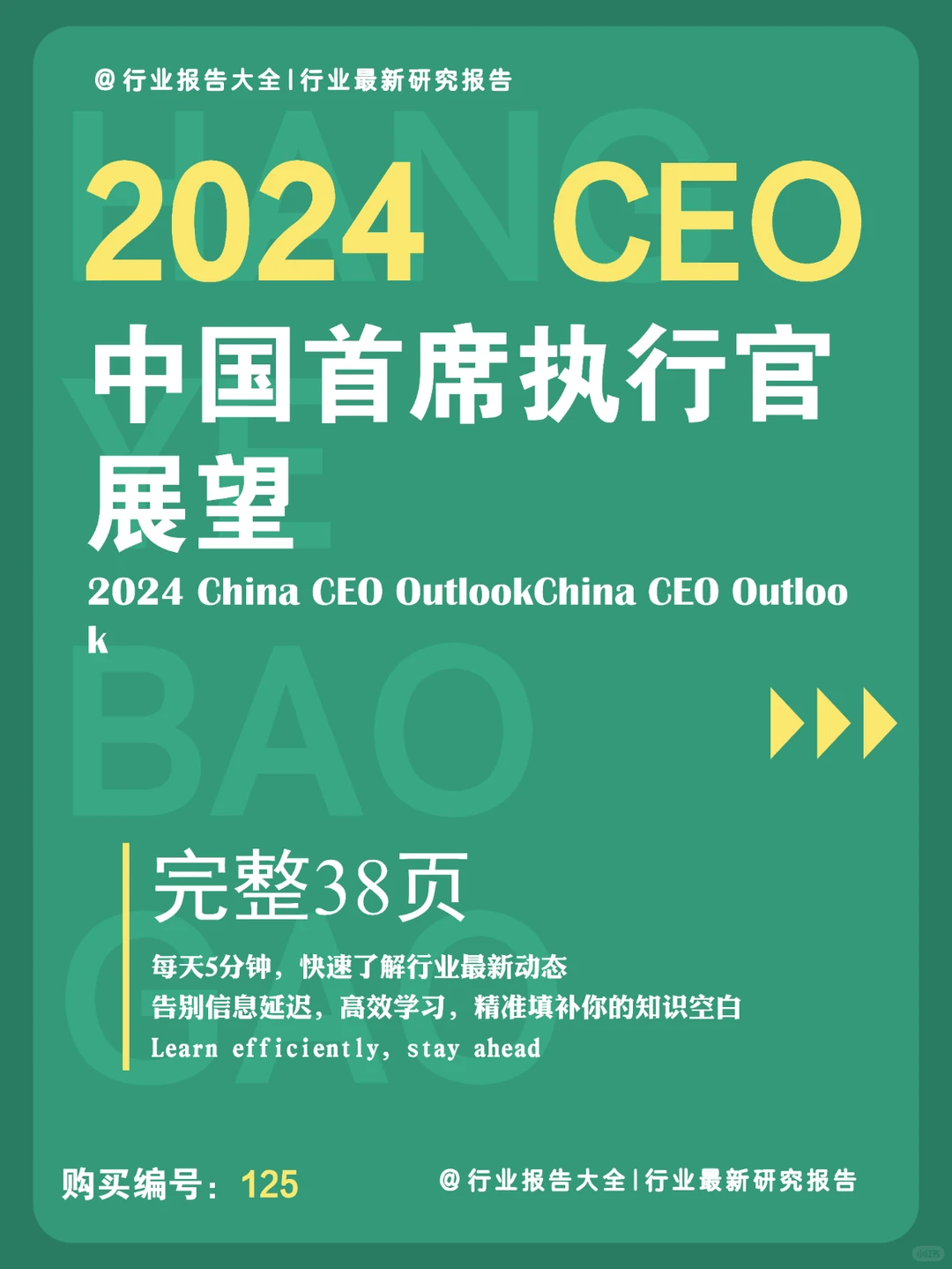 38 页 | 一文读懂 2024 中国首席执行官展望