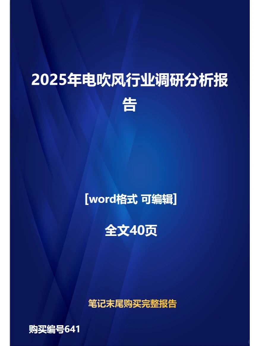 2025年电吹风行业调研分析报告
