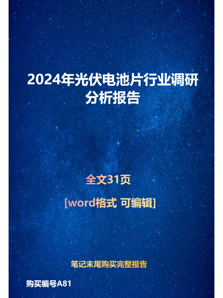 2024年光伏电池片行业调研分析报告