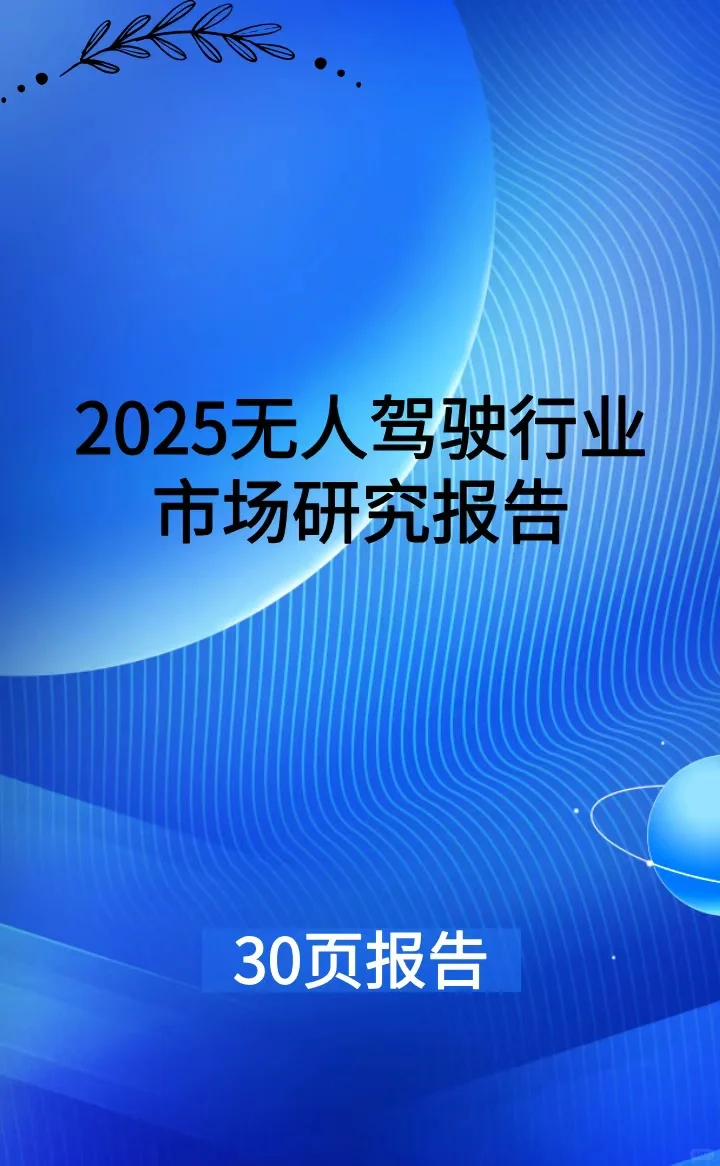 2025年中国无人驾驶行业市场研究报告