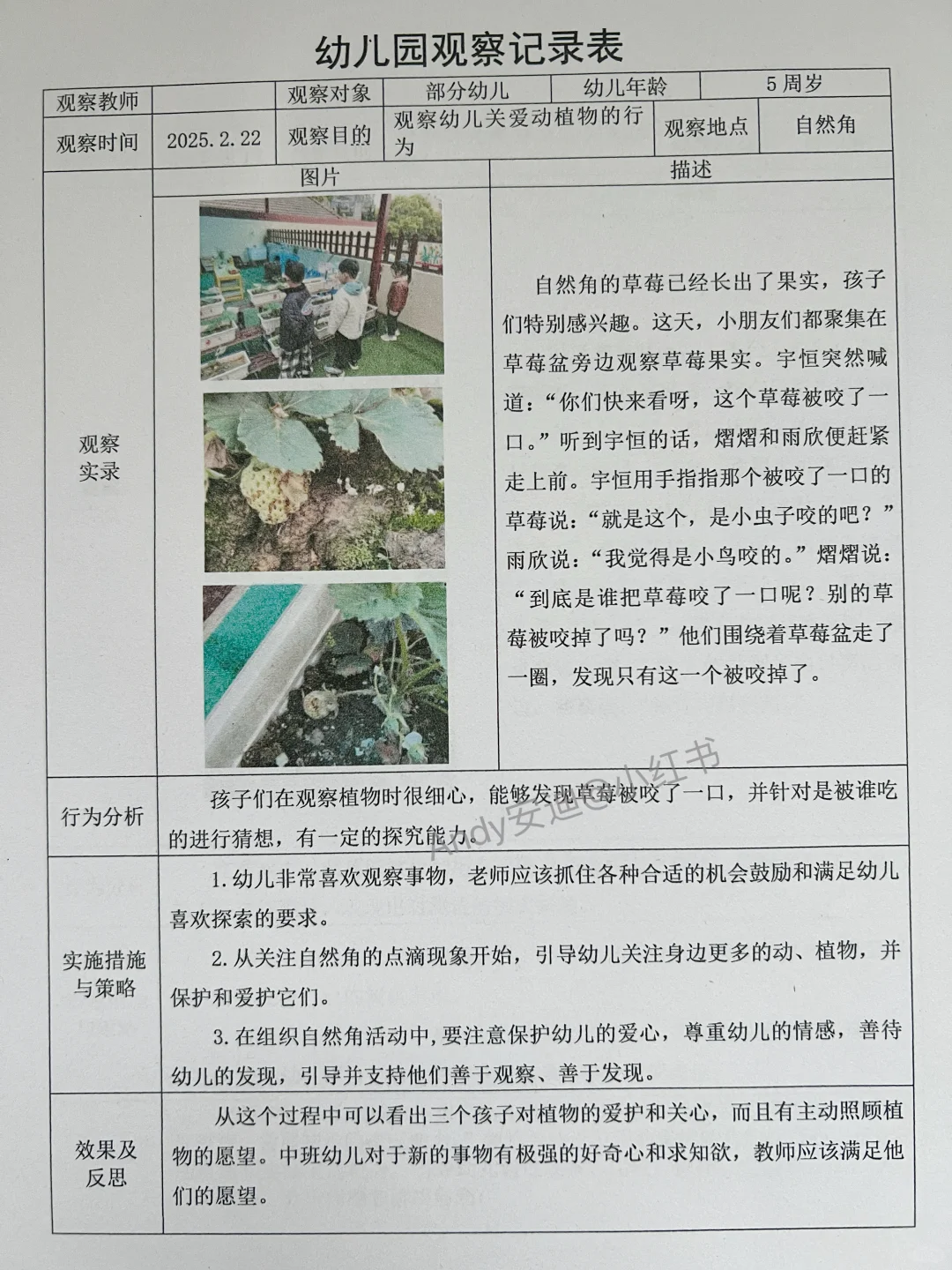 幼儿园肚子里没有墨水，看这3000篇观察记录
